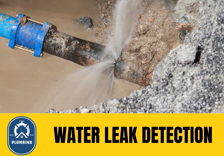 leak detection Normanton