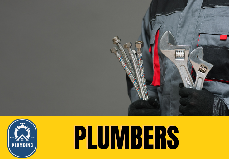 plumber Snydale